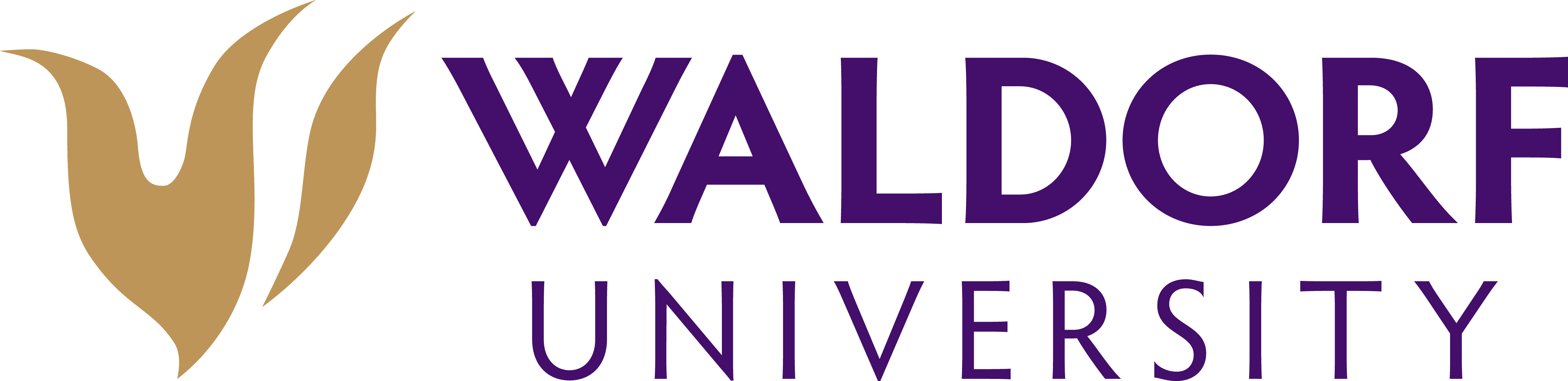 Waldorff University